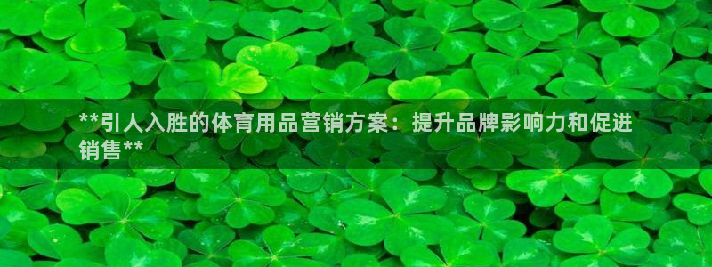 欧陆娱乐官方下载安装：**引人入胜的体育用品营销方案