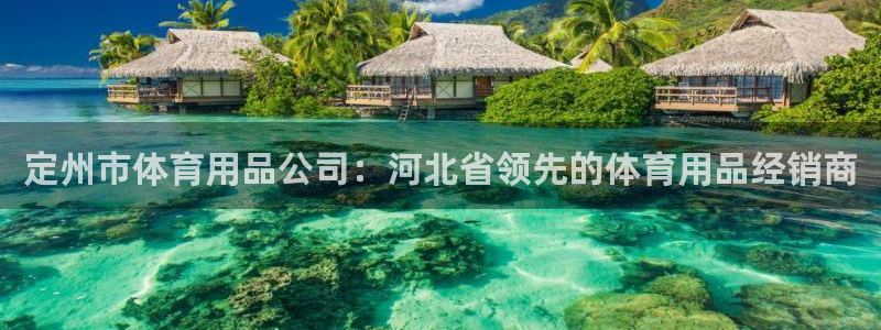 欧陆娱乐能不能玩手游：定州市体育用品公司：河北省领先