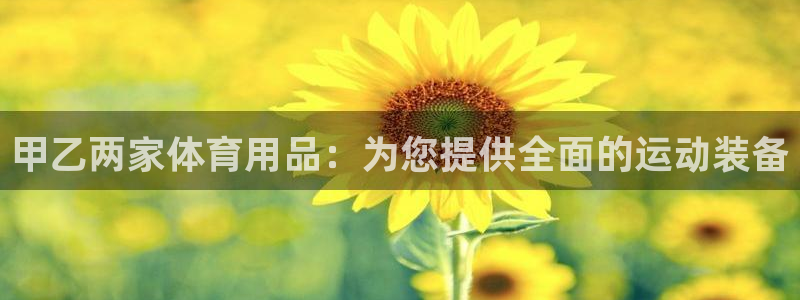 欧陆娱乐怎么注册会员：甲乙两家体育用品：为您提供全面