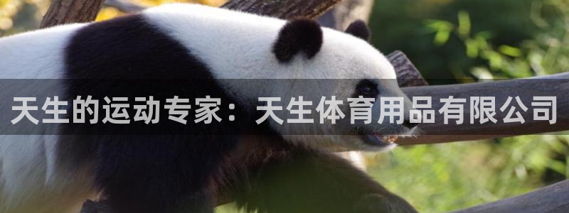 欧陆娱乐招商主管：天生的运动专家：天生体育用品有限公