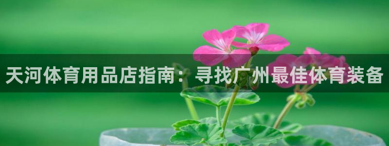 欧陆娱乐官方下载安装：天河体育用品店指南：寻找广州最