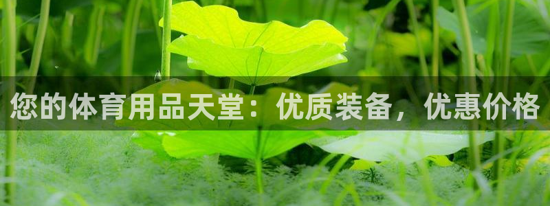 欧陆娱乐怎么注册帐号登录：您的体育用品天堂：优质装备