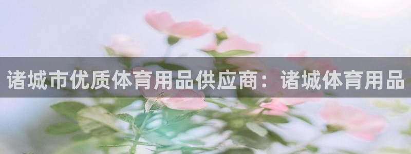 欧陆娱乐信誉吗：诸城市优质体育用品供应商：诸城体育用