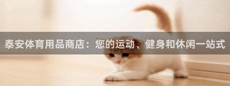 欧陆娱乐平台官网：泰安体育用品商店：您的运动、健身和