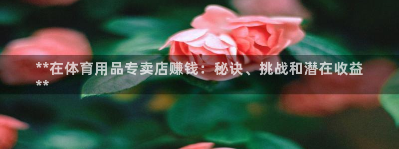 欧陆娱乐平台咋样赚钱快：**在体育用品专卖店赚钱：秘