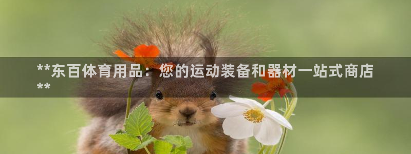 欧陆娱乐官网下载安装最新版：**东百体育用品：您的运
