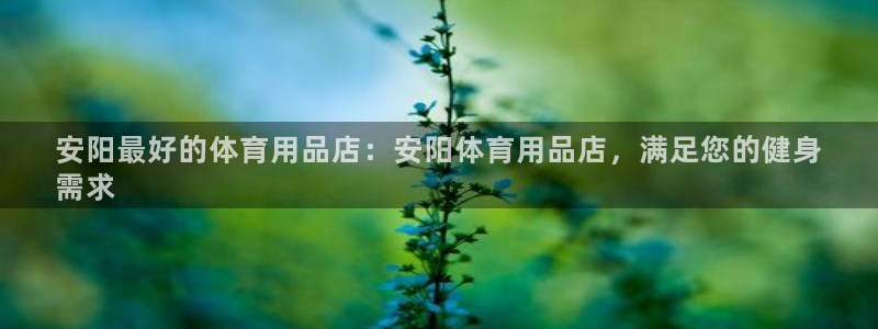 欧陆娱乐计划预测软件有哪些：安阳最好的体育用品店：安