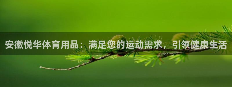 欧陆娱乐测速网站：安徽悦华体育用品：满足您的运动需求
