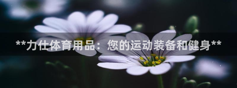欧陆娱乐平台登录不上去：**力仕体育用品：您的运动装