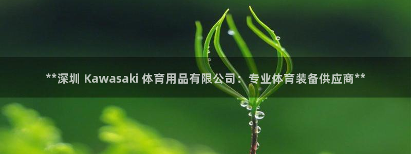 欧陆注册登录入口：**深圳 Kawasaki 体育用