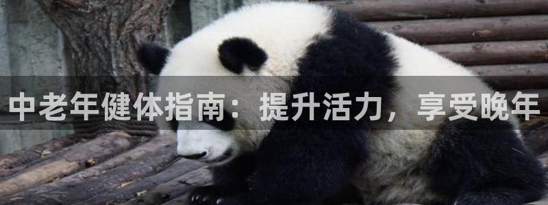 欧陆娱乐计划预测软件下载：中老年健体指南：提升活力，