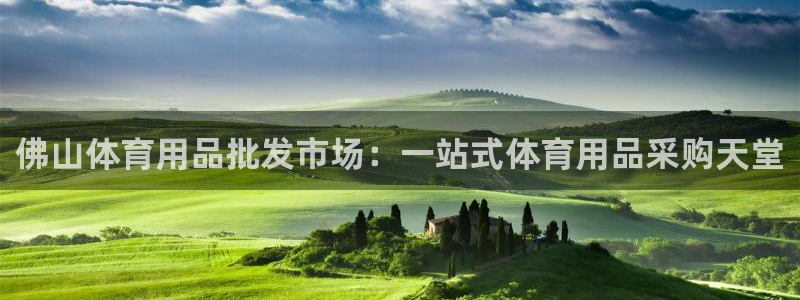 欧陆娱乐是正规平台吗安全吗可靠吗可信吗：佛山体育用品