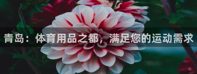 欧陆娱乐有限公司：青岛：体育用品之都，满足您的运动需