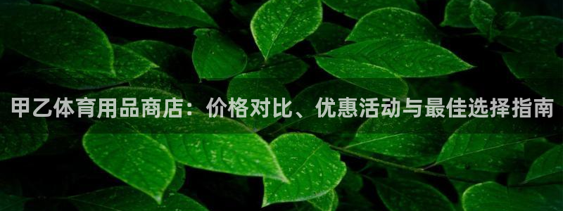 欧陆娱乐有限公司官网：甲乙体育用品商店：价格对比、优