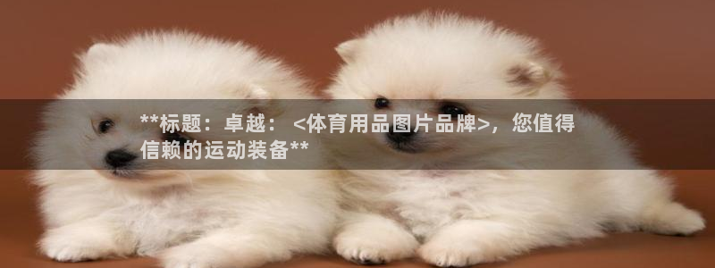欧陆娱乐平台咋样啊：**标题：卓越： <体育用品图片