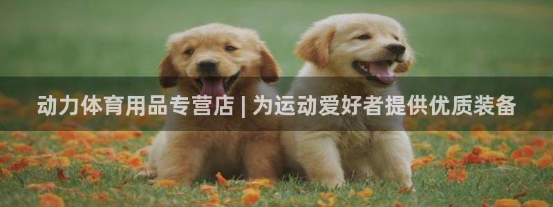 欧陆娱乐怎么注册账号：动力体育用品专营店 | 为运动