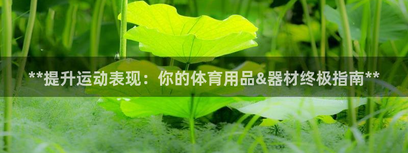 欧陆娱乐app下载安装：**提升运动表现：你的体育用