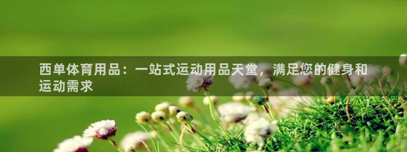 欧陆娱乐平台登陆地址在哪：西单体育用品：一站式运动用