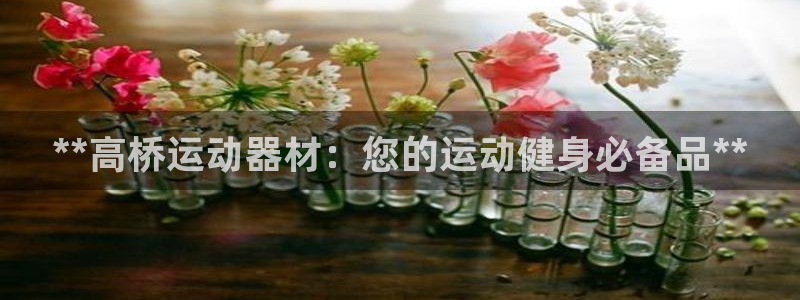 欧陆娱乐代理多少个点位：**高桥运动器材：您的运动健