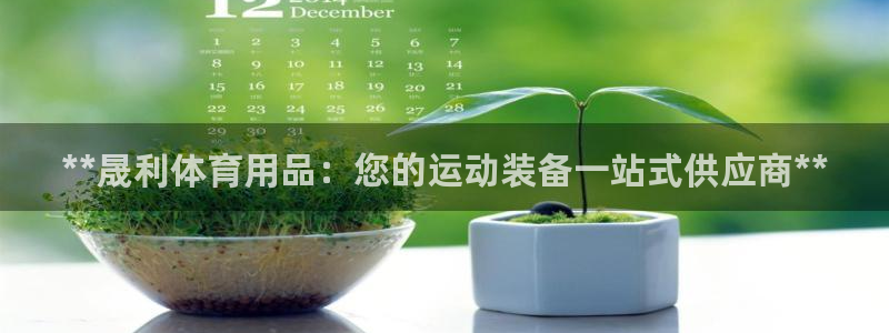 重庆欧陆娱乐有限公司：**晟利体育用品：您的运动装备