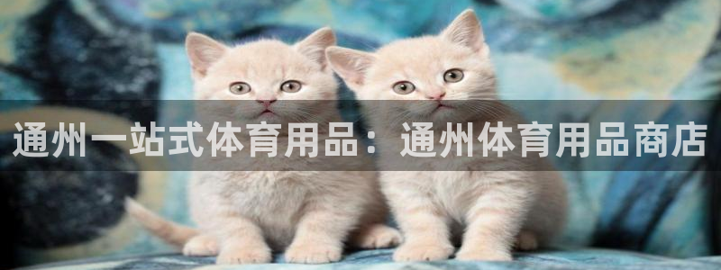 欧陆娱乐登录测速软件：通州一站式体育用品：通州体育用