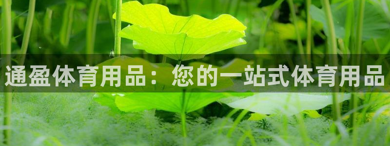 欧陆娱乐公司产品介绍大全：通盈体育用品：您的一站式体