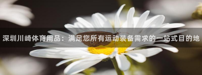 欧陆娱乐注册链接安全吗知乎：深圳川崎体育用品：满足您