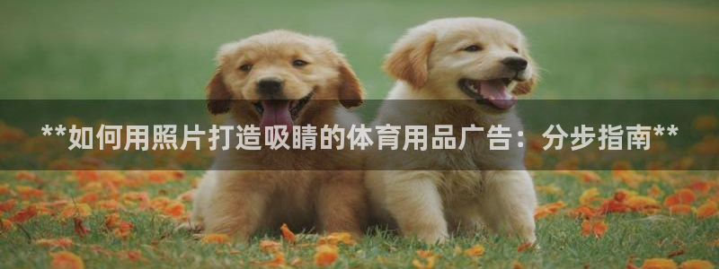 欧陆娱乐是正规平台吗安全吗可信吗知乎：**如何用照片