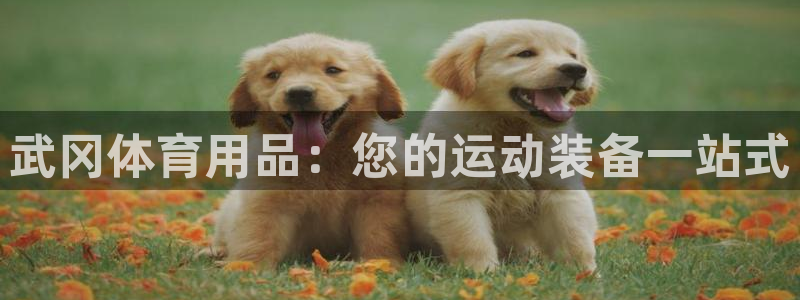 欧陆娱乐欧陆主管：武冈体育用品：您的运动装备一站式