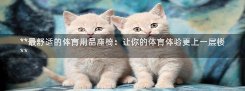 欧陆娱乐脚本：**最舒适的体育用品座椅：让你的体育体验更上一