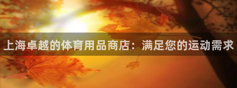 欧陆娱乐怎么注册会员账号：上海卓越的体育用品商店：满