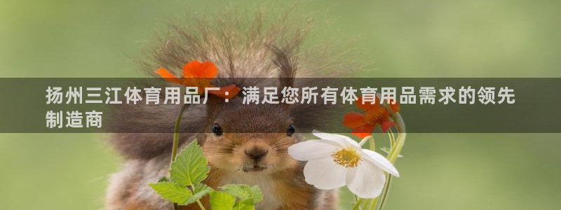 欧陆娱乐代理 贴吧：扬州三江体育用品厂：满足您所有体