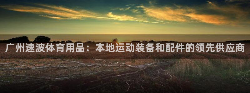 欧陆娱乐信誉如何：广州速波体育用品：本地运动装备和配