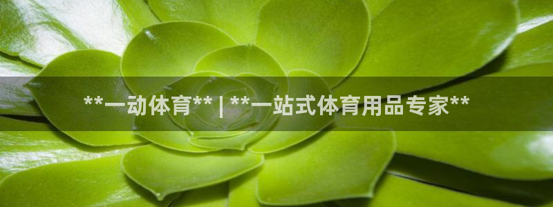 欧陆娱乐能不能玩：**一动体育** | **一站式体
