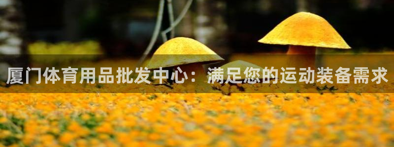 欧陆娱乐可以退钱：厦门体育用品批发中心：满足您的运动