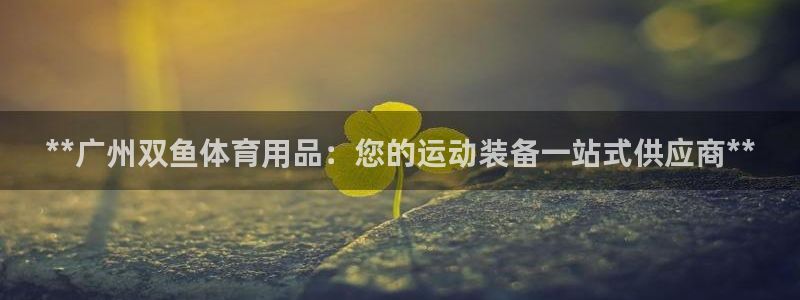 欧陆娱乐官方网站：**广州双鱼体育用品：您的运动装备