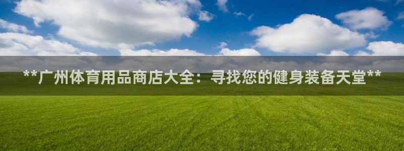 欧陆娱乐平台登录不上怎么回事：**广州体育用品商店大