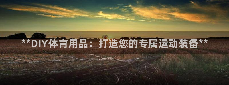 欧陆娱乐平台总代理：**DIY体育用品：打造您的专属