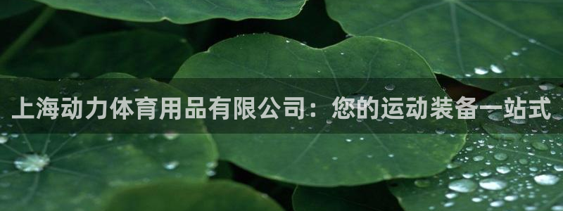欧陆娱乐官网网址是什么：上海动力体育用品有限公司：您