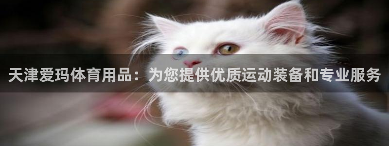 欧陆娱乐官方：天津爱玛体育用品：为您提供优质运动装备