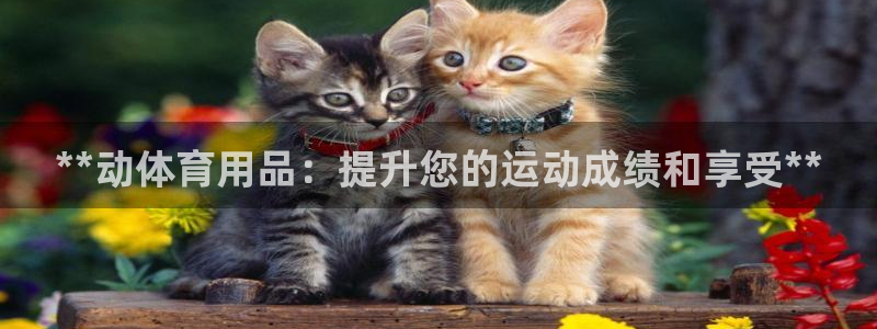欧陆娱乐官方网站首页：**动体育用品：提升您的运动成