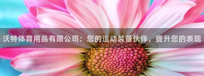 欧陆娱乐公司产品介绍图片：沃特体育用品有限公司：您的