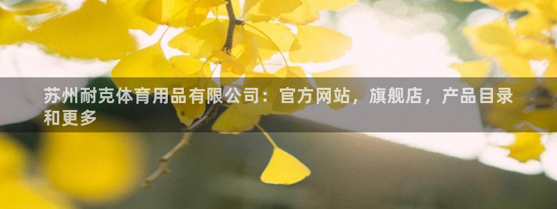 欧陆娱乐平台登录不上去：苏州耐克体育用品有限公司：官方网站，