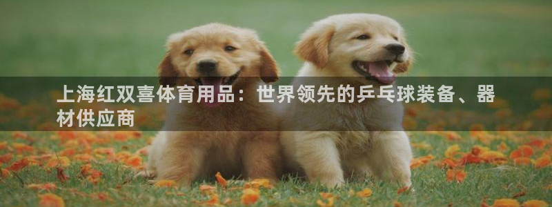 欧陆娱乐测速网站：上海红双喜体育用品：世界领先的乒乓