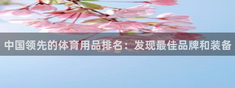 欧陆娱乐app打不开怎么回事儿：中国领先的体育用品排