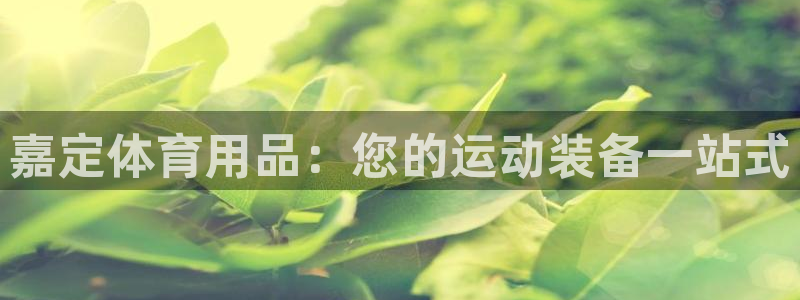 欧陆娱乐官网首页入口：嘉定体育用品：您的运动装备一站