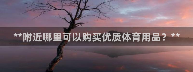 欧陆娱乐出款：**附近哪里可以购买优质体育用品？**