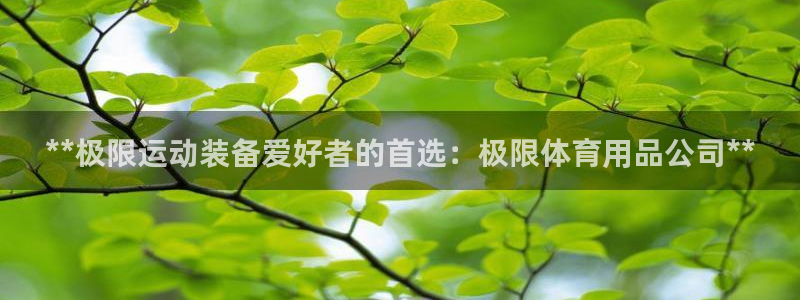 欧陆娱乐微信：**极限运动装备爱好者的首选：极限体育