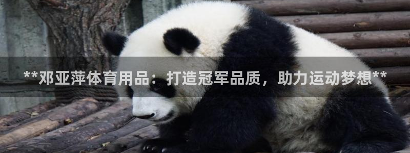 欧陆娱乐官网下载安装最新版本：**邓亚萍体育用品：打