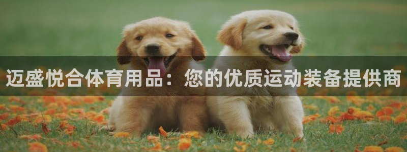 欧陆娱乐计划预测软件：迈盛悦合体育用品：您的优质运动